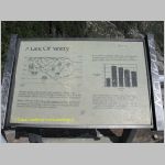 20060822_22Sequoia_010 copia.jpg